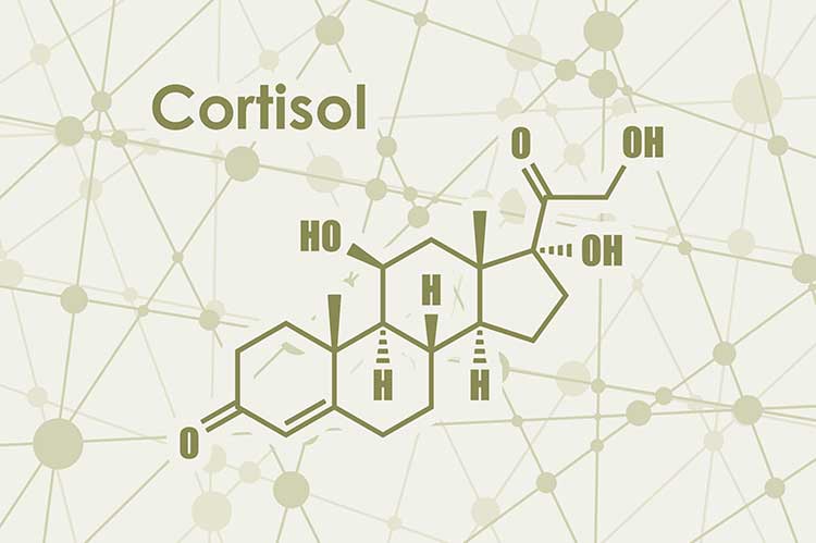 Chemische summenformel hormon cortisol. verbundene linien mit punkthintergrund