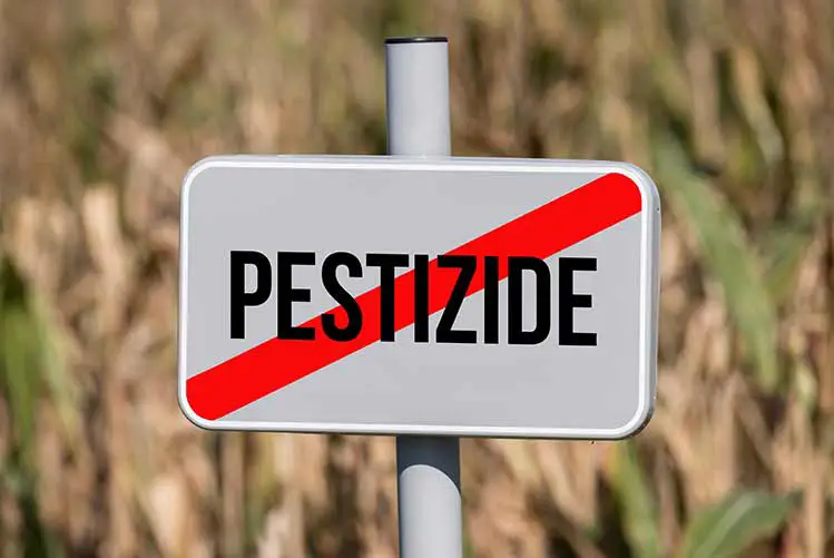Ein landwirtschaftliches feld und ein schild, das auf das verbot von pestiziden hinweist