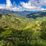Blaue berge von jamaika-kaffeewachstum setzen hügel