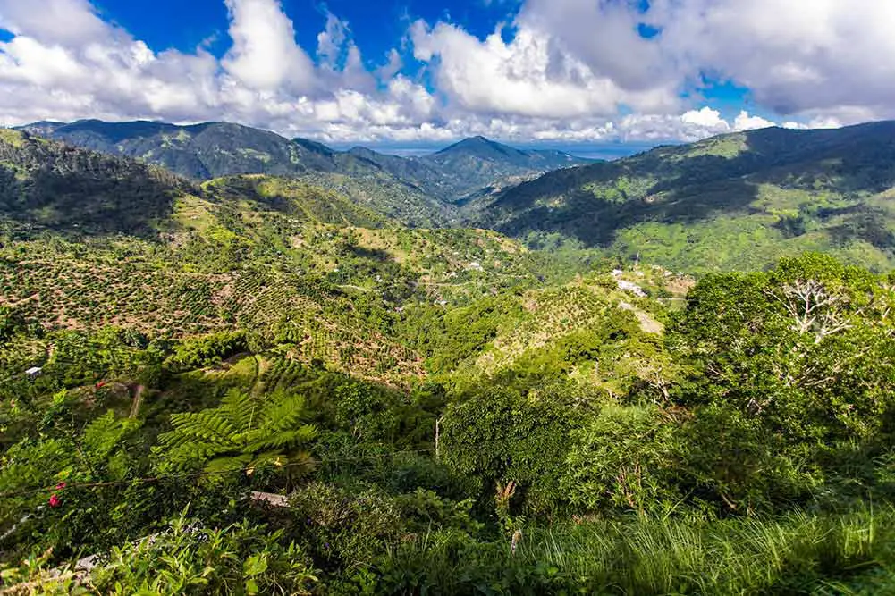 Blaue berge von jamaika-kaffeewachstum setzen hügel