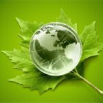 Umweltkonzept, glaskugel und grünes blatt