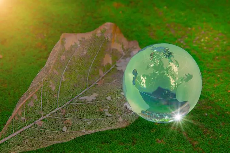 Weltkugel-kristallglas auf trockenem blatt auf grünem moos und reflektiert die glänzende sonne. weltumwelttag. globales unternehmen für nachhaltige entwicklung. umweltschutz. natur- und ökologiekonzept.
