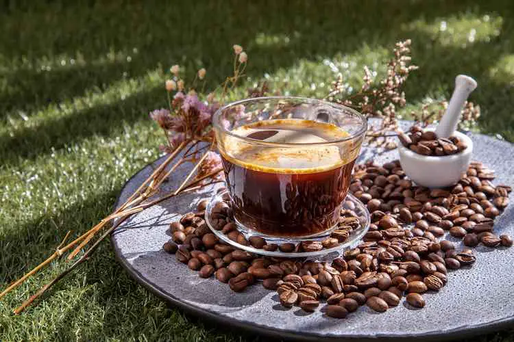 Kaffeestil, schwarzer kaffee in glastasse mit kaffeebohnen, die sich drehen, und getrocknete blume auf keramikplatte am morgen.