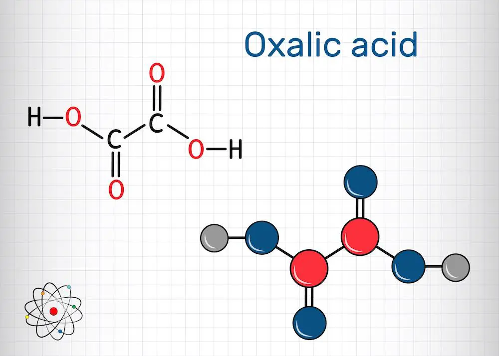 Oxalsäure c2h2o4 molekül. es ist dicarbonsäure. strukturelle chemische formel und molekülmodell. blatt papier in einem käfig. vektor-illustration