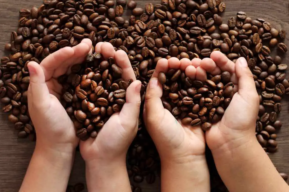 Geröstete kaffeebohnen in den händen, hausgemachter texturkaffeehintergrund.