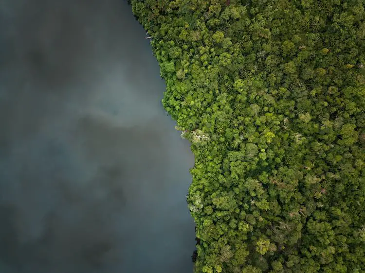 Amazonas-dschungel und ein see sekunden vor dem regen