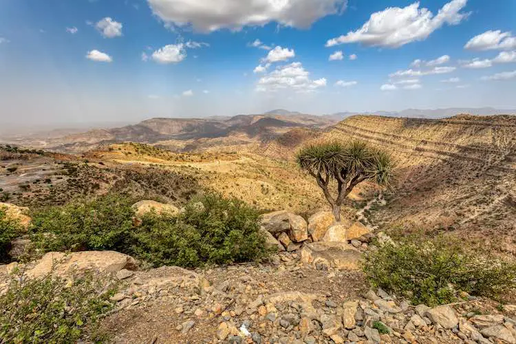 Schöne hochlandlandschaft mit tal. afar-region in der nähe der stadt mekelle. äthiopien, afrika wildnis